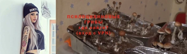 амф Абаза