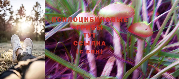 сатива Абдулино
