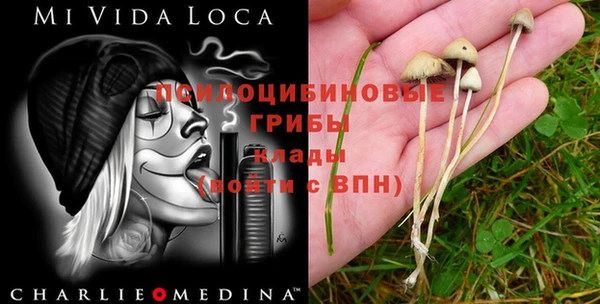 хмурый Покровск
